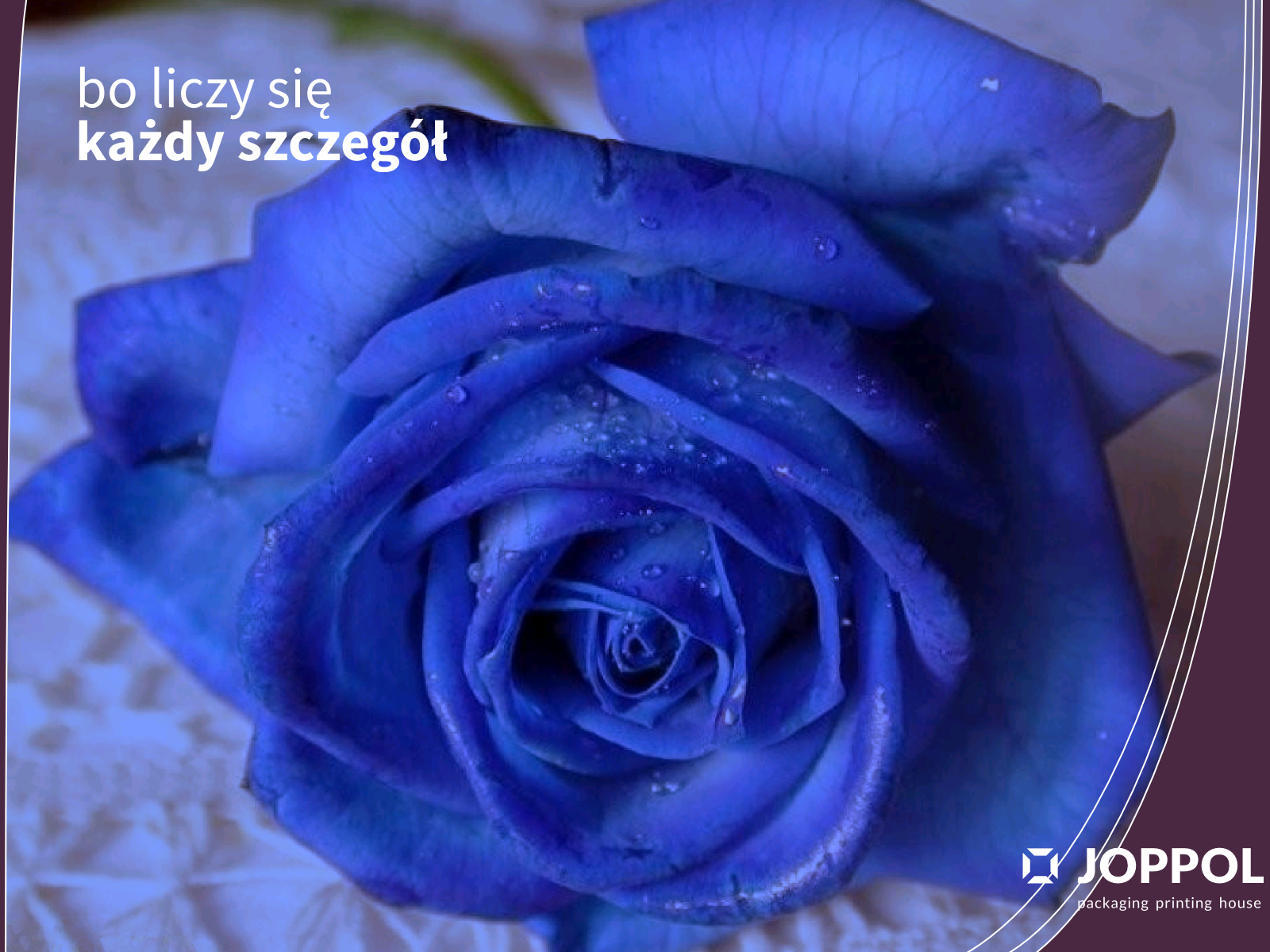 Tapeta Joppol powitanie